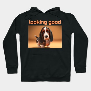 Basset Hound - Looking Good and dressed for success Hoodie